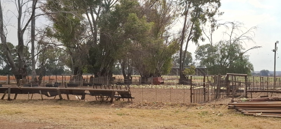Commercial Property for Sale in Bainsvlei Free State